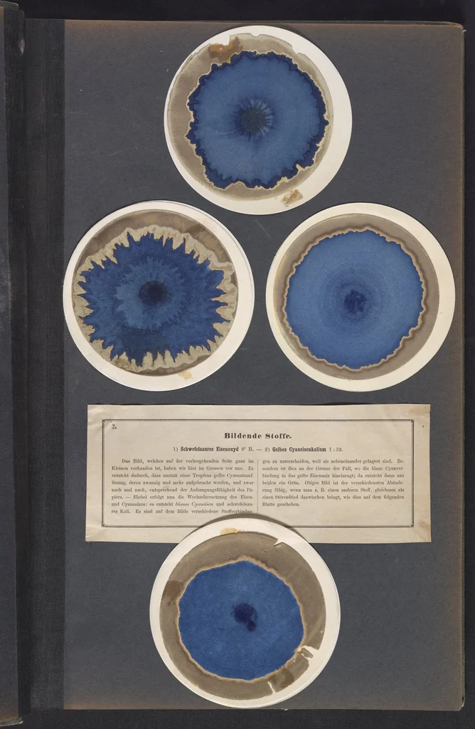 An illustration from Der Bildungstrieb der Stoffe, 1858, leaf 9