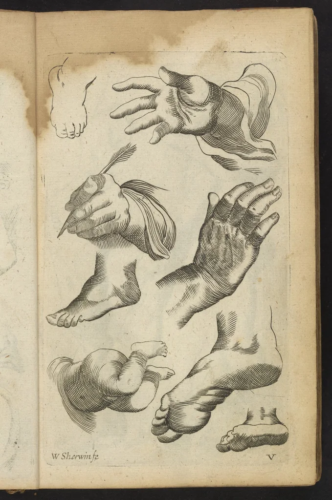 An illustration from Polygraphice, or, the Arts of Drawing, Engraving, Etching, Limning, Painting, Washing, Varnishing, Gilding, Colouring, Dying, Beautifying and Perfuming, 1685, leaf 15