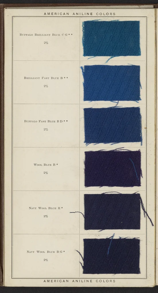 An illustration from Acid Colors on Piece Goods, 1900, leaf 10