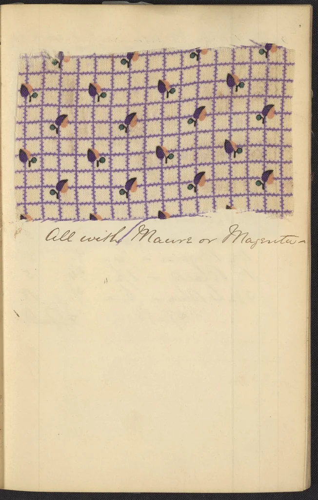 An illustration from Dyer's account book, Volume 2, 1855, leaf 154