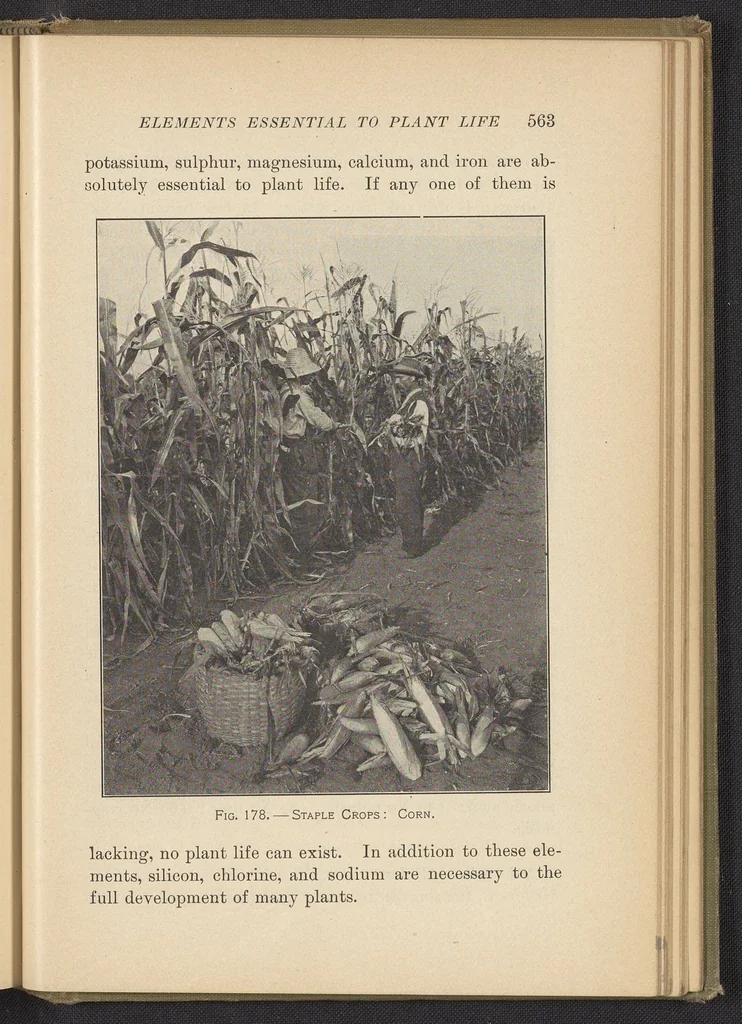 An illustration from Chemistry of Common Things, 1914, leaf 89