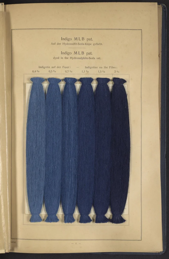 An illustration from Indigo MLB auf Baumwolle : Indigo MLB on Cotton, 1880, leaf 14