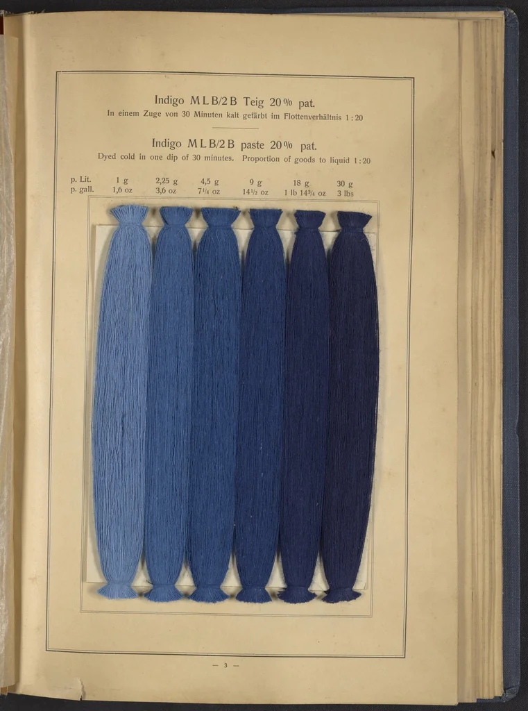 An illustration from Indigo MLB auf Baumwolle : Indigo MLB on Cotton, 1880, leaf 16