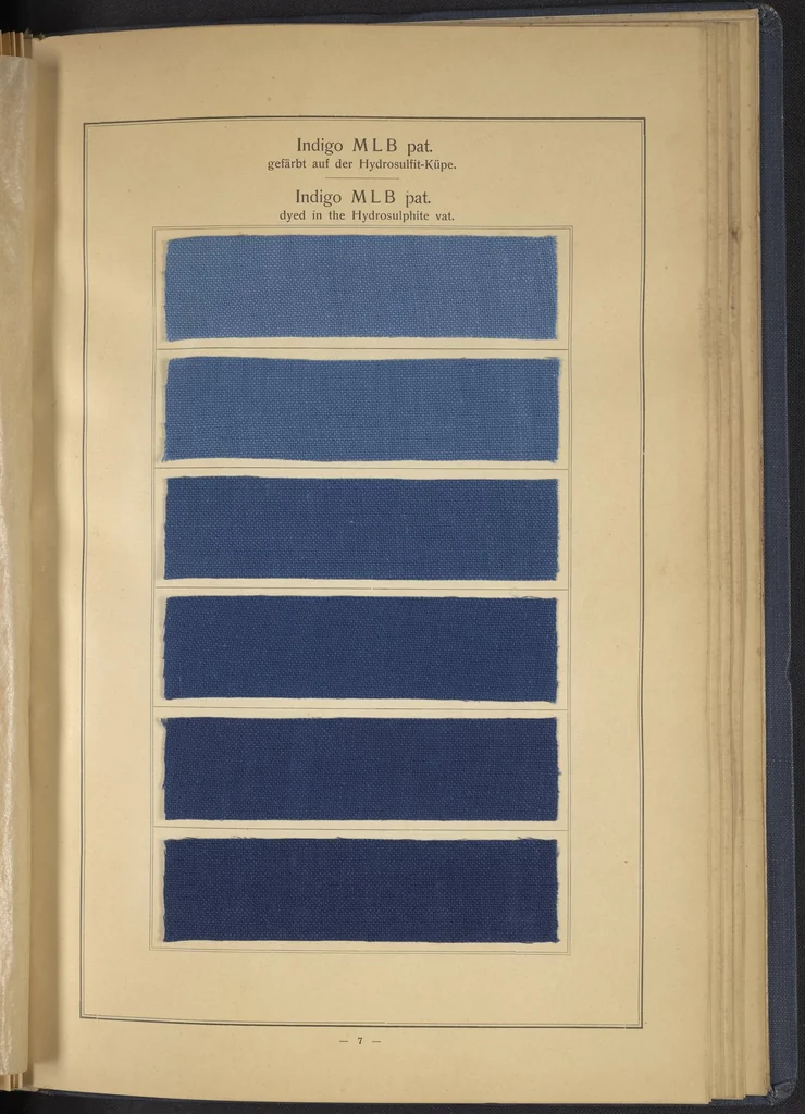 An illustration from Indigo MLB auf Baumwolle : Indigo MLB on Cotton, 1880, leaf 20