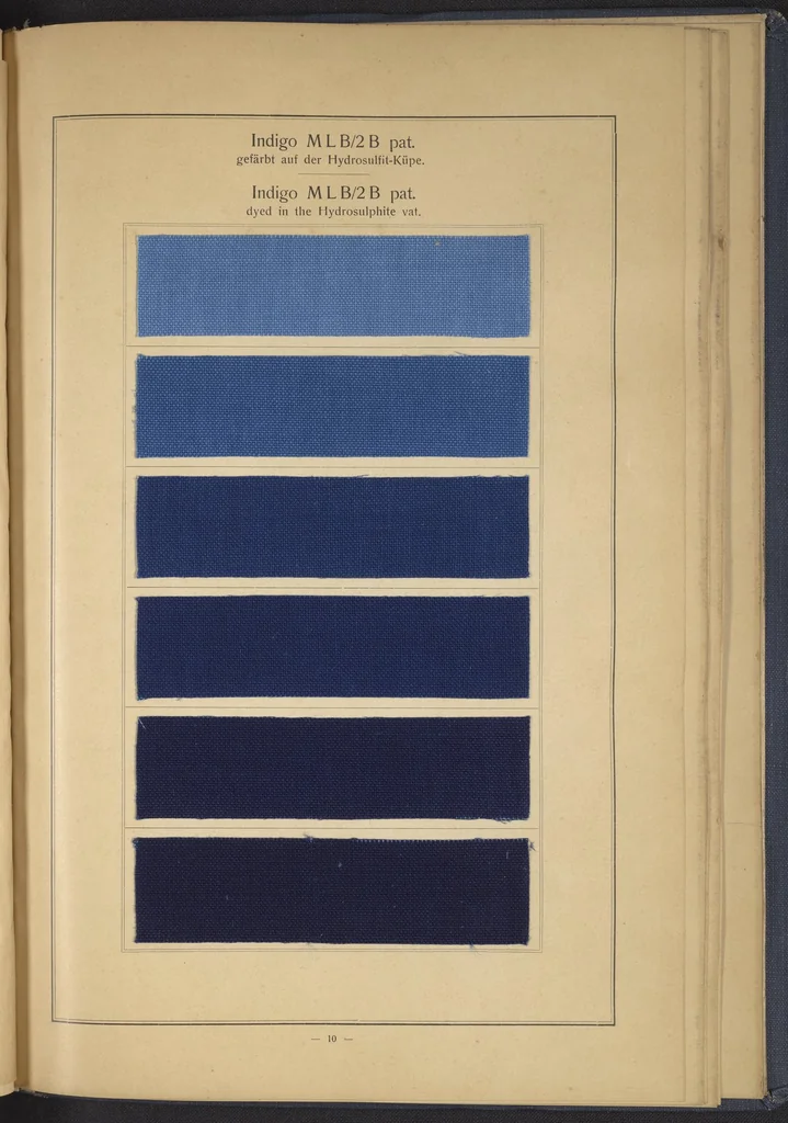 An illustration from Indigo MLB auf Baumwolle : Indigo MLB on Cotton, 1880, leaf 23