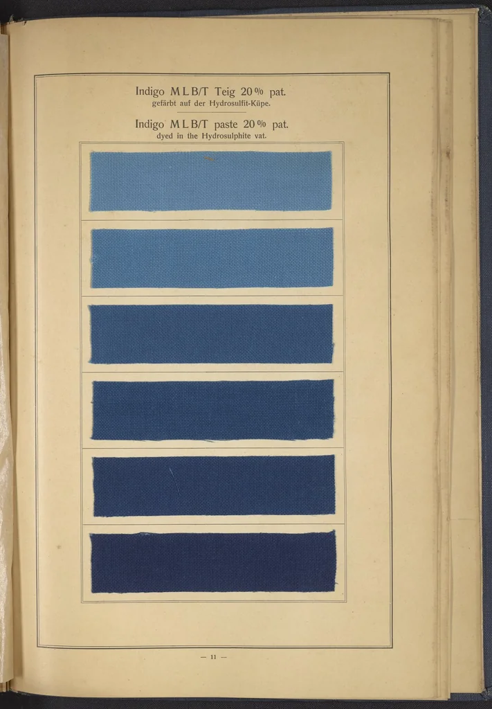 An illustration from Indigo MLB auf Baumwolle : Indigo MLB on Cotton, 1880, leaf 24