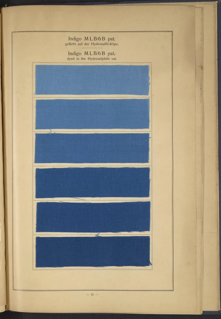 An illustration from Indigo MLB auf Baumwolle : Indigo MLB on Cotton, 1880, leaf 25