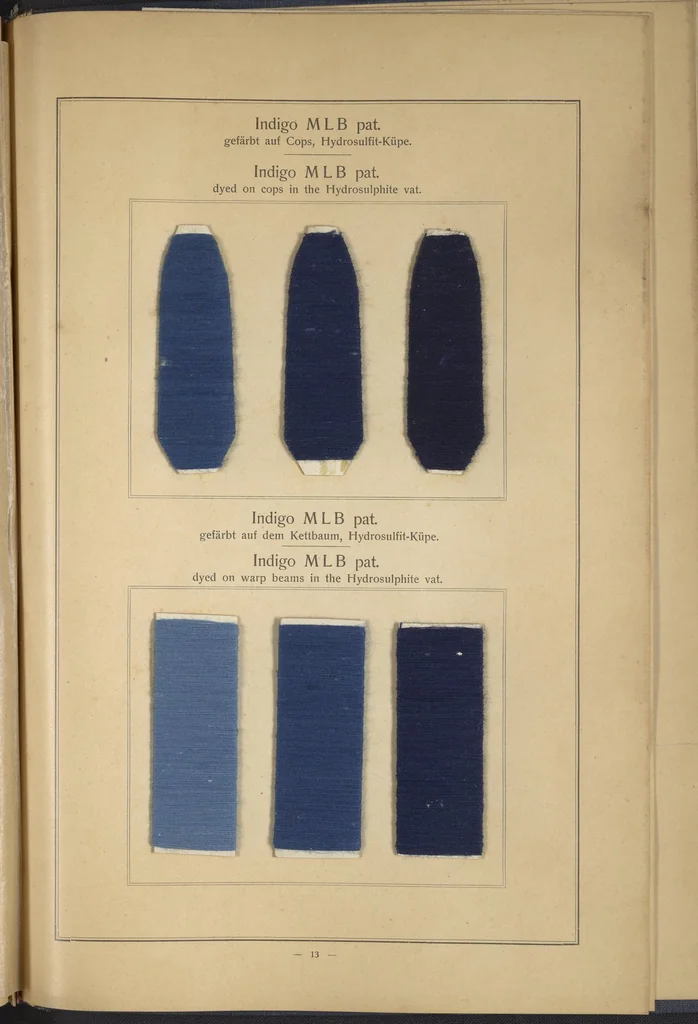 An illustration from Indigo MLB auf Baumwolle : Indigo MLB on Cotton, 1880, leaf 26