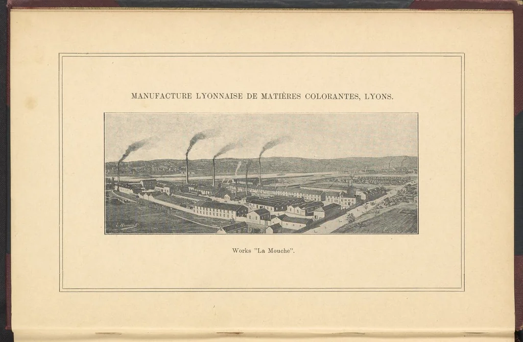 An illustration from The Dyeing of Cotton and Other Vegetable Fibres with the Dyestuffs of Leopold Cassella & Co., 1904, leaf 3