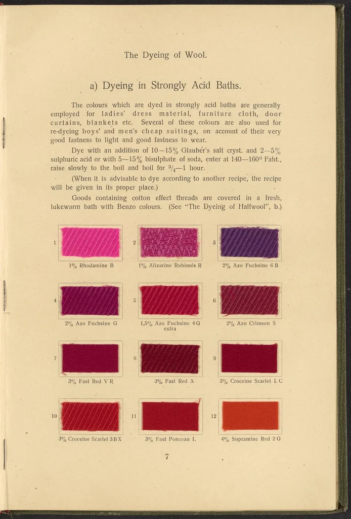 An illustration from Garment Dyeing, 1912, leaf 19