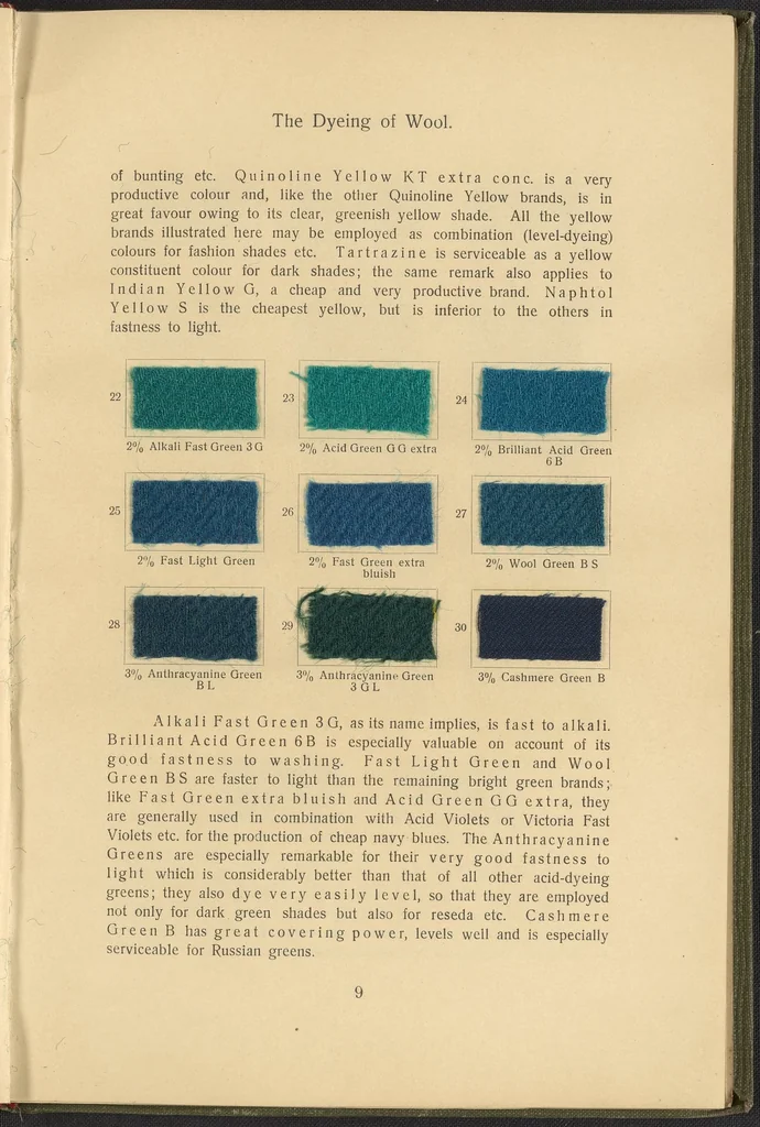 An illustration from Garment Dyeing, 1912, leaf 21