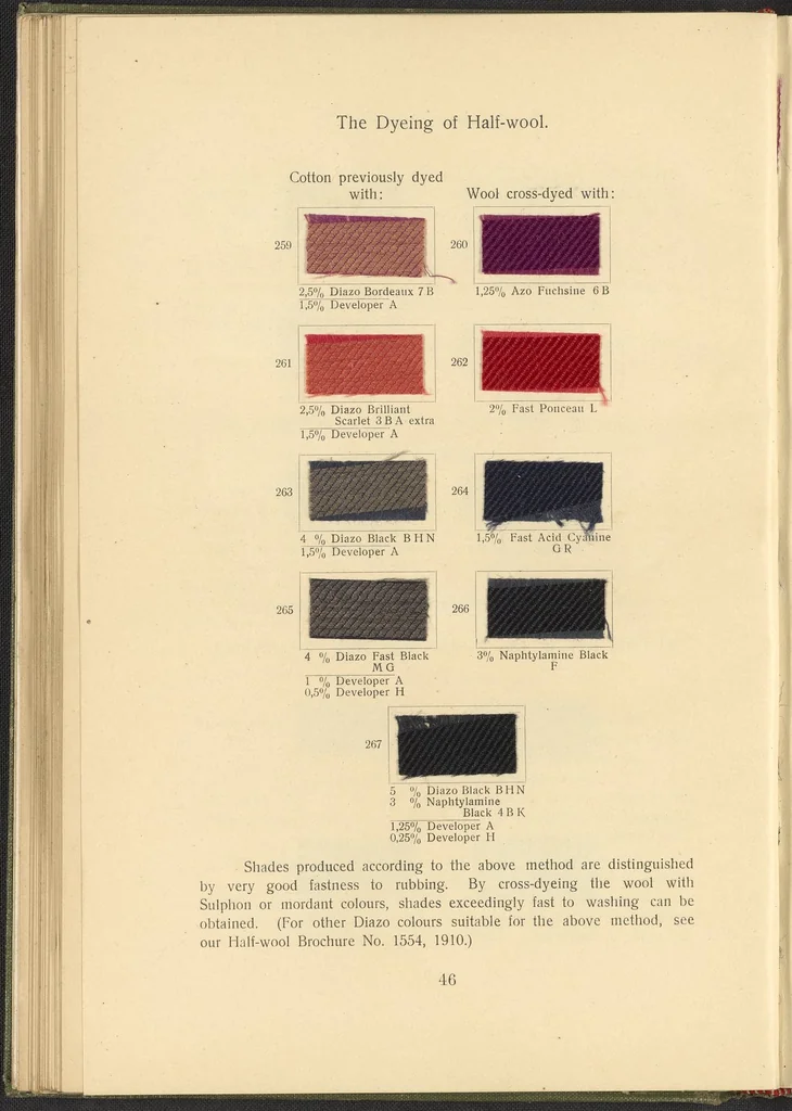 An illustration from Garment Dyeing, 1912, leaf 58