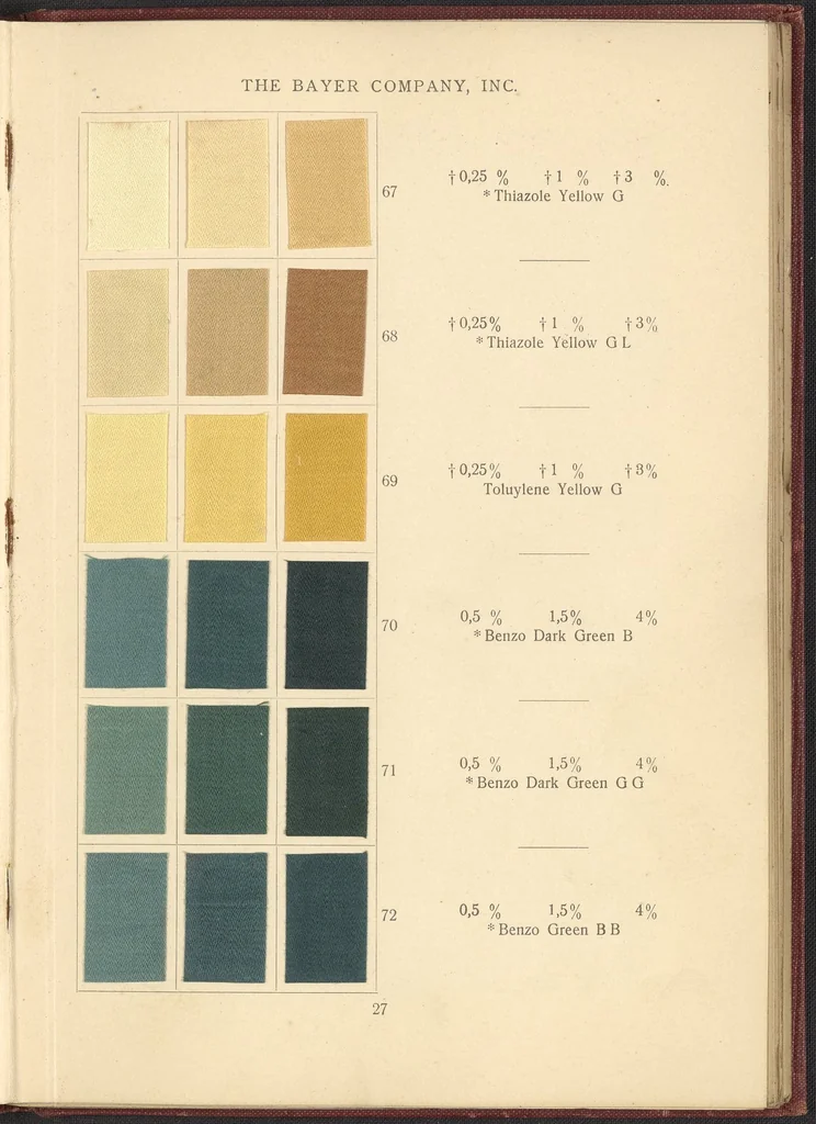 An illustration from Benzo Colours on Cotton Cloth, 1900, leaf 31