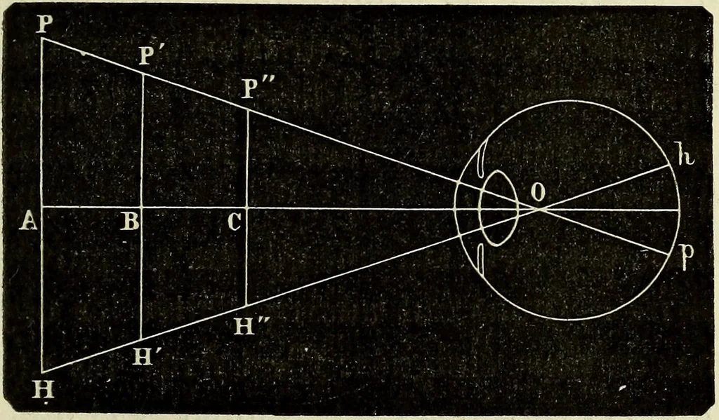 An illustration from Le corps humain / par A. Le Pileur., 1873, leaf 225