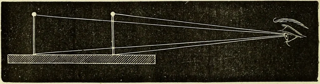 An illustration from Le corps humain / par A. Le Pileur., 1873, leaf 230