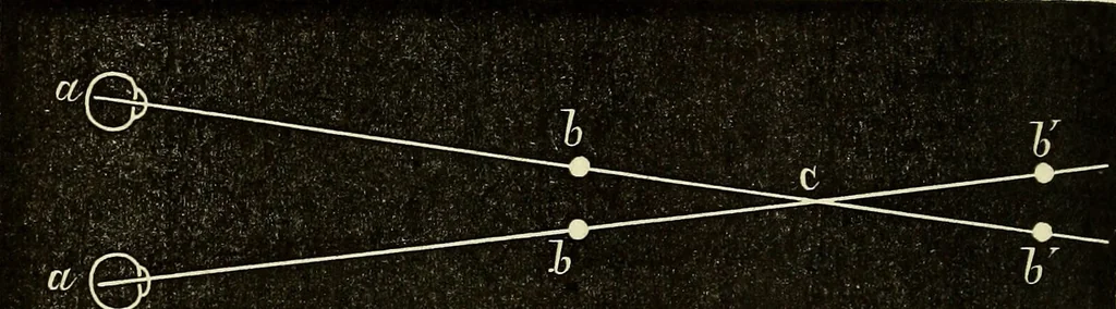 An illustration from Le corps humain / par A. Le Pileur., 1873, leaf 234