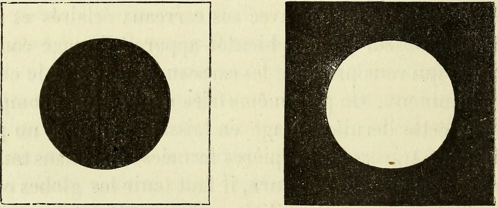 An illustration from Le corps humain / par A. Le Pileur., 1873, leaf 242