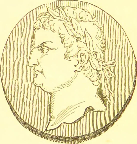 An illustration from Notes on noses / [by Eden Warwick [pseud.]]., 1852, leaf 106