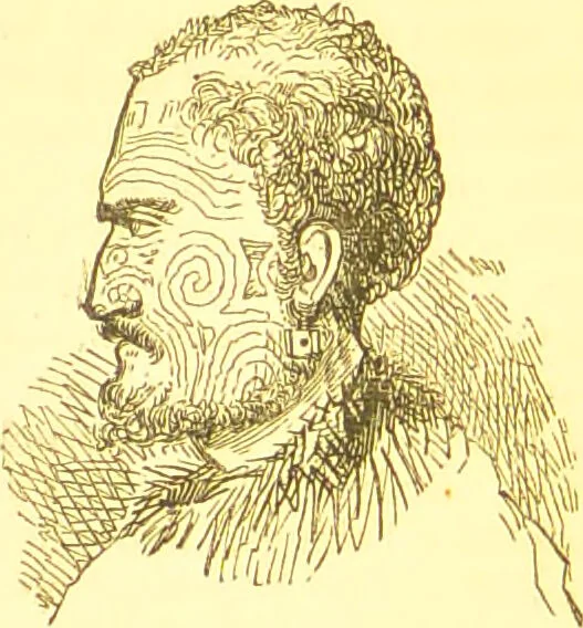 An illustration from Notes on noses / [by Eden Warwick [pseud.]]., 1852, leaf 162