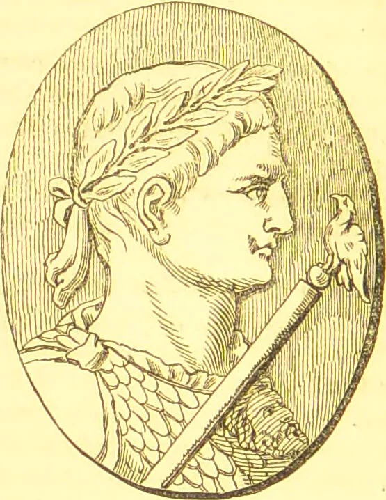 An illustration from Notes on noses / [by Eden Warwick [pseud.]]., 1852, leaf 36
