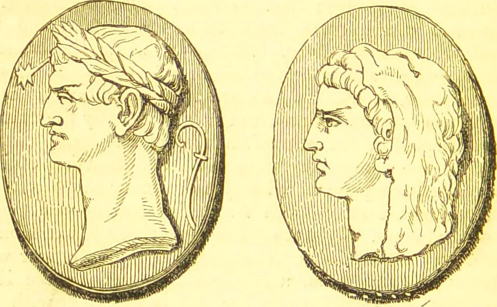 An illustration from Notes on noses / [by Eden Warwick [pseud.]]., 1852, leaf 50