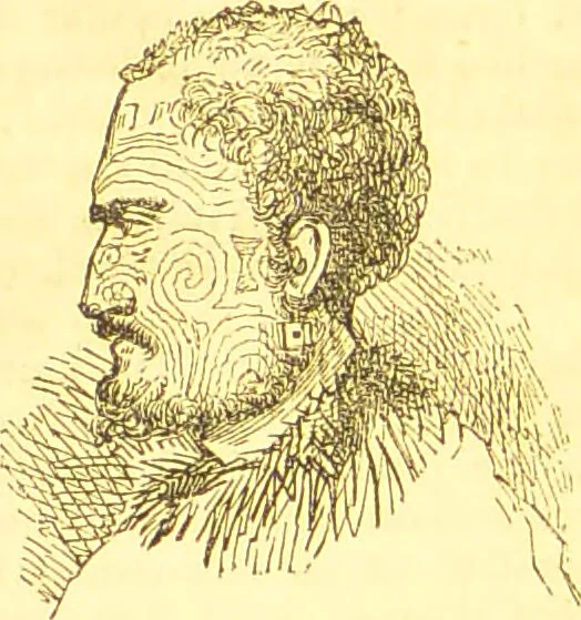 An illustration from Notes on noses / [by Eden Warwick [pseud.]]., 1857, leaf 162
