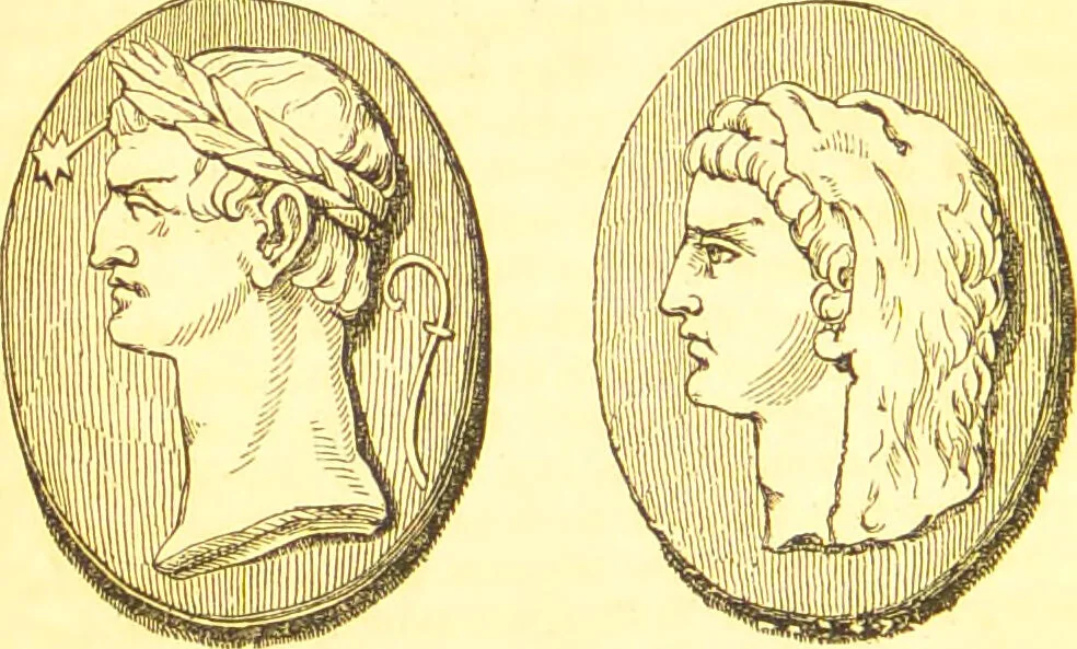 An illustration from Notes on noses / [by Eden Warwick [pseud.]]., 1857, leaf 50