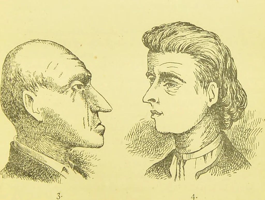 An illustration from The criminal / by Havelock Ellis., 1895, leaf 177