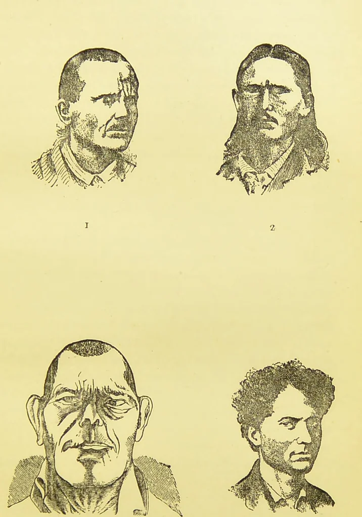 An illustration from The criminal / by Havelock Ellis., 1895, leaf 187