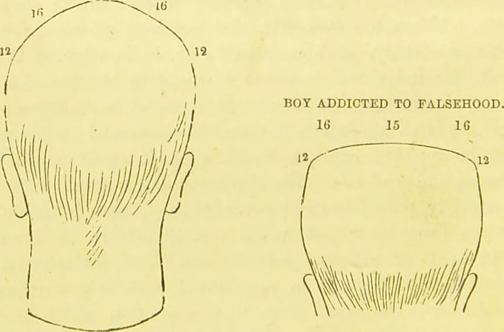 An illustration from Elements of phrenology / by George Combe., 1873, leaf 110
