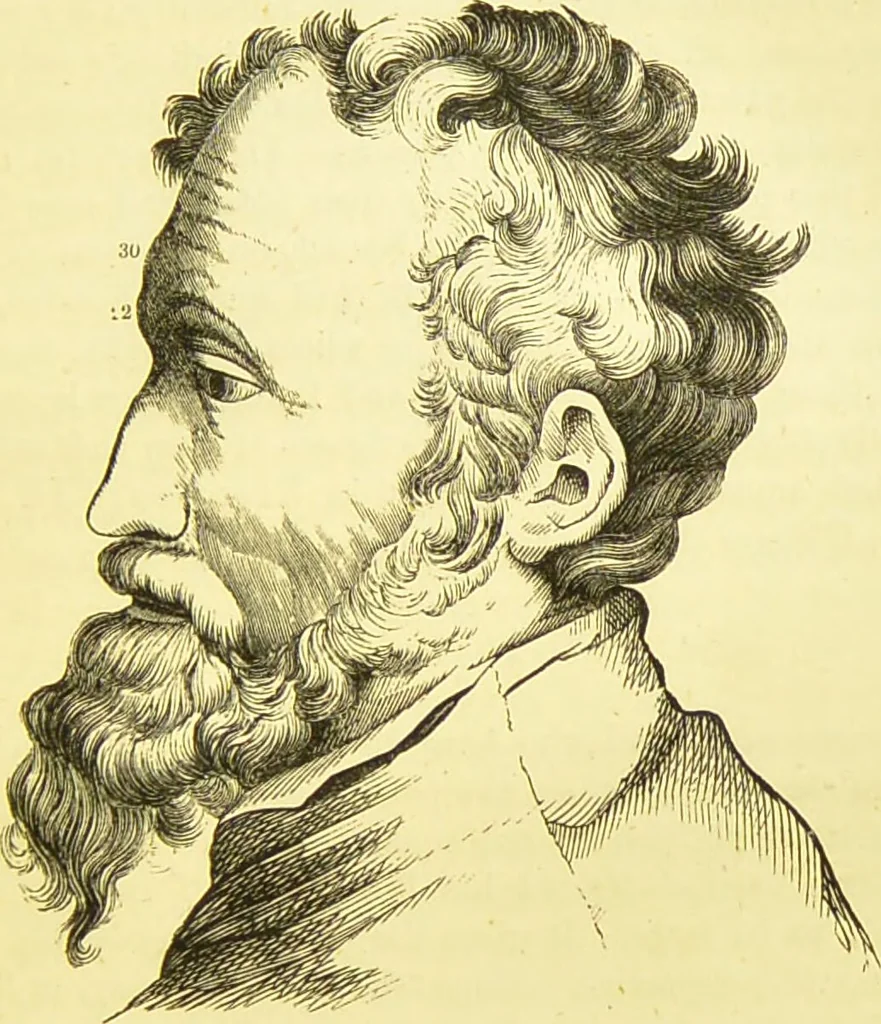 An illustration from Elements of phrenology / by George Combe., 1873, leaf 129