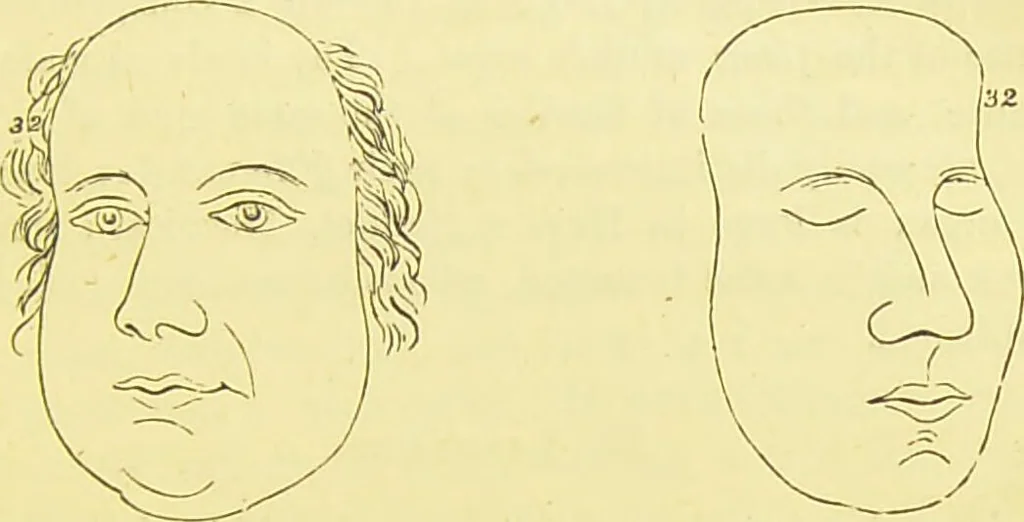 An illustration from Elements of phrenology / by George Combe., 1873, leaf 141