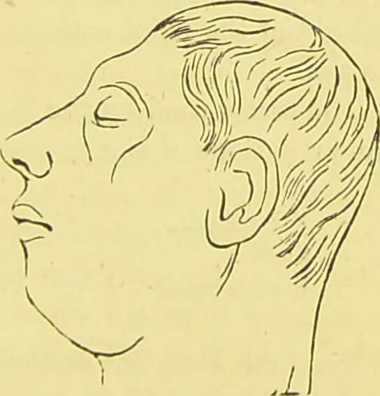 An illustration from Elements of phrenology / by George Combe., 1873, leaf 187