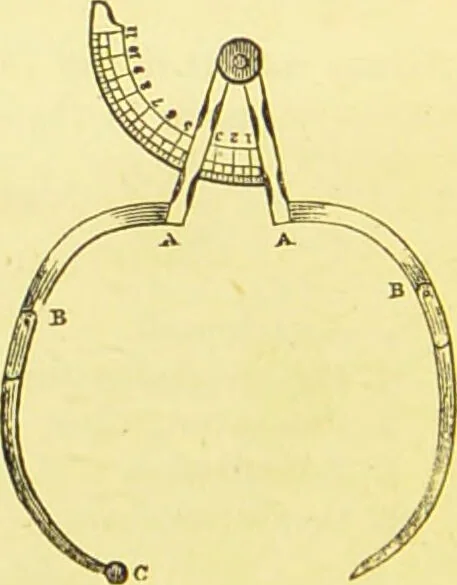 An illustration from Elements of phrenology / by George Combe., 1873, leaf 236