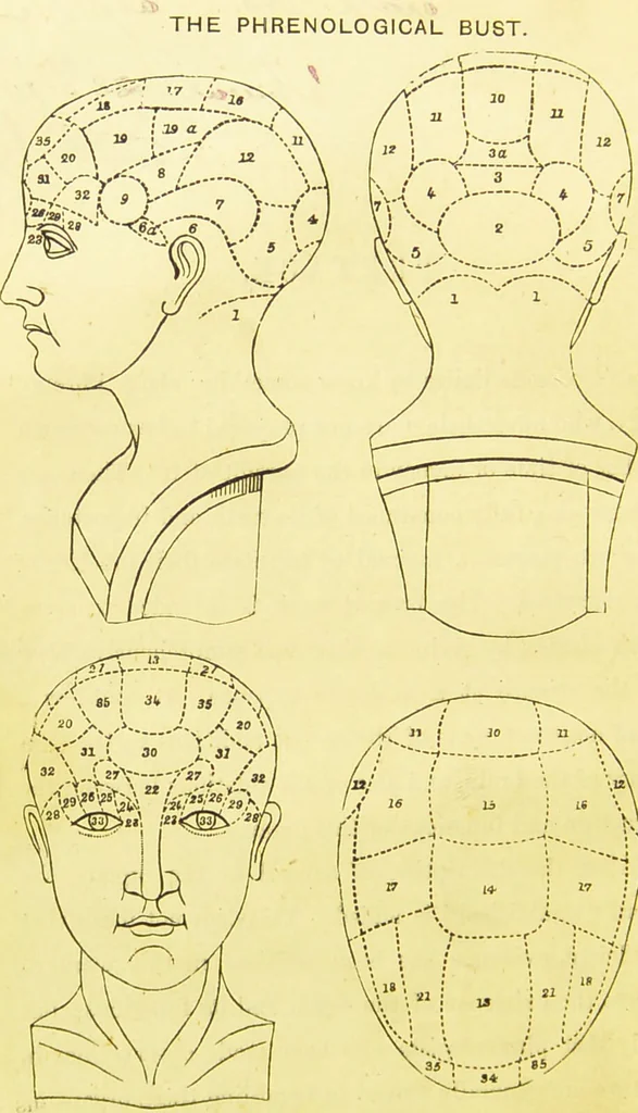 An illustration from Elements of phrenology / by George Combe., 1873, leaf 8