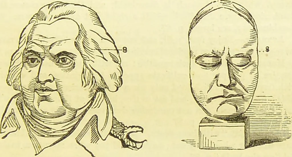 An illustration from New illustrated self-instructor in phrenology and physiology : together with the chart and character of ... as marked by ... / by O.S. and L.N. Fowler., 1877, leaf 101