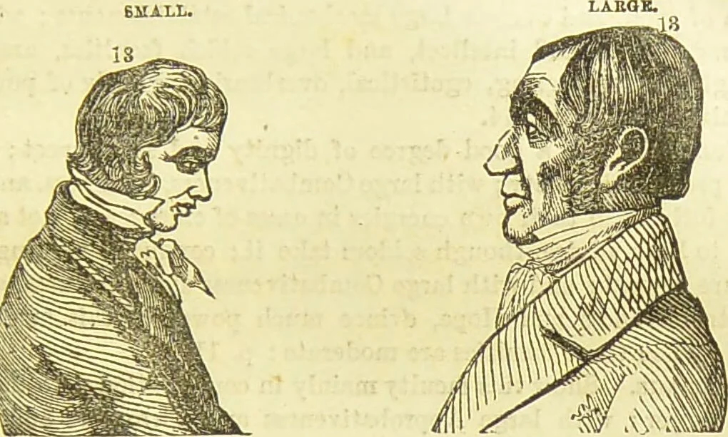 An illustration from New illustrated self-instructor in phrenology and physiology : together with the chart and character of ... as marked by ... / by O.S. and L.N. Fowler., 1877, leaf 115