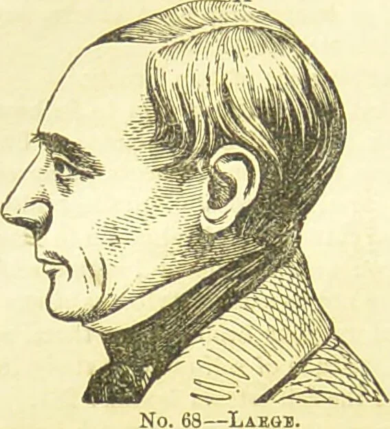 An illustration from New illustrated self-instructor in phrenology and physiology : together with the chart and character of ... as marked by ... / by O.S. and L.N. Fowler., 1877, leaf 118
