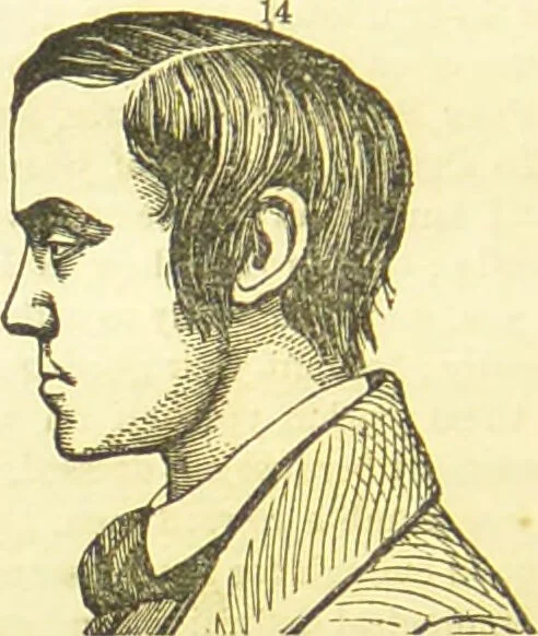 An illustration from New illustrated self-instructor in phrenology and physiology : together with the chart and character of ... as marked by ... / by O.S. and L.N. Fowler., 1877, leaf 118