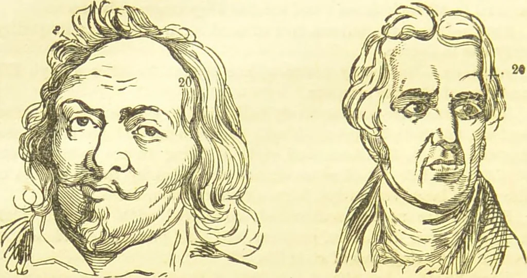 An illustration from New illustrated self-instructor in phrenology and physiology : together with the chart and character of ... as marked by ... / by O.S. and L.N. Fowler., 1877, leaf 134