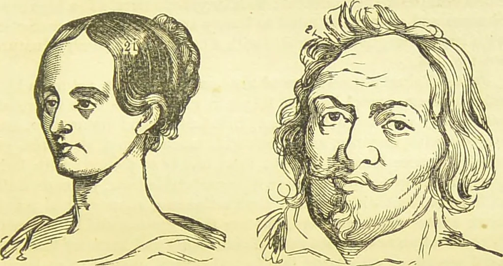 An illustration from New illustrated self-instructor in phrenology and physiology : together with the chart and character of ... as marked by ... / by O.S. and L.N. Fowler., 1877, leaf 135