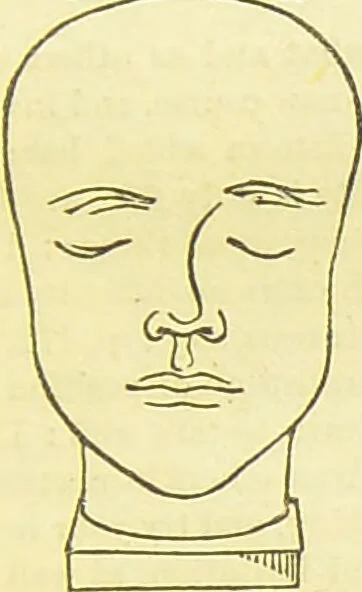 An illustration from New illustrated self-instructor in phrenology and physiology : together with the chart and character of ... as marked by ... / by O.S. and L.N. Fowler., 1877, leaf 139