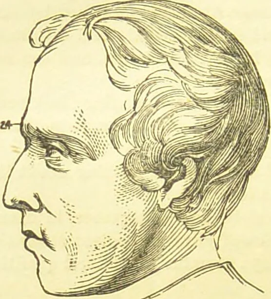 An illustration from New illustrated self-instructor in phrenology and physiology : together with the chart and character of ... as marked by ... / by O.S. and L.N. Fowler., 1877, leaf 146