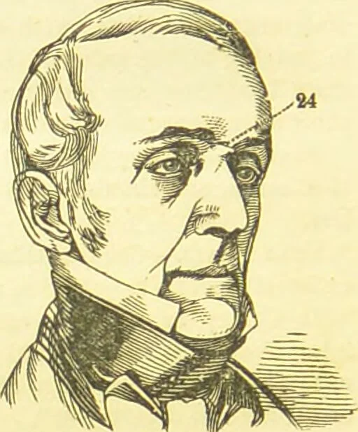 An illustration from New illustrated self-instructor in phrenology and physiology : together with the chart and character of ... as marked by ... / by O.S. and L.N. Fowler., 1877, leaf 146