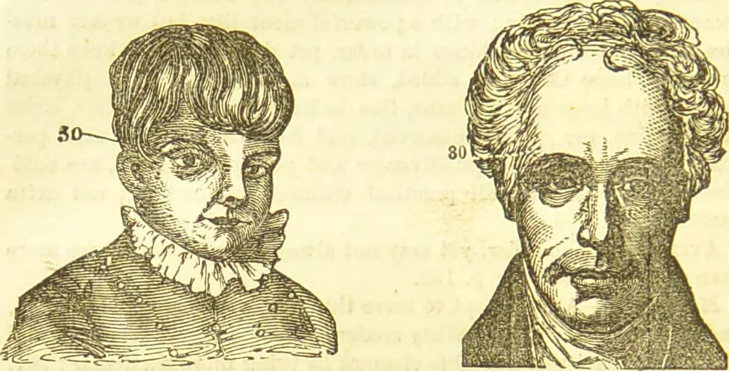 An illustration from New illustrated self-instructor in phrenology and physiology : together with the chart and character of ... as marked by ... / by O.S. and L.N. Fowler., 1877, leaf 154