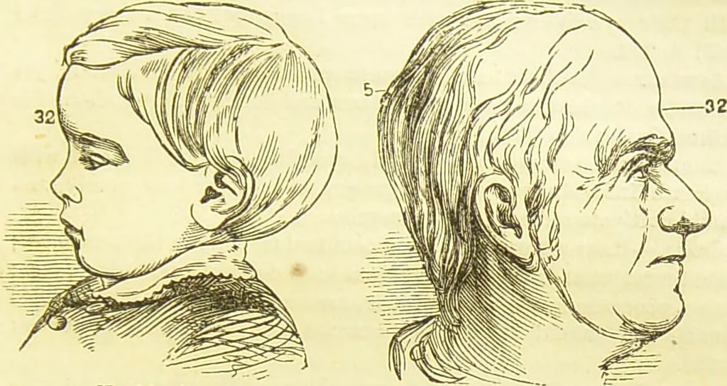 An illustration from New illustrated self-instructor in phrenology and physiology : together with the chart and character of ... as marked by ... / by O.S. and L.N. Fowler., 1877, leaf 157
