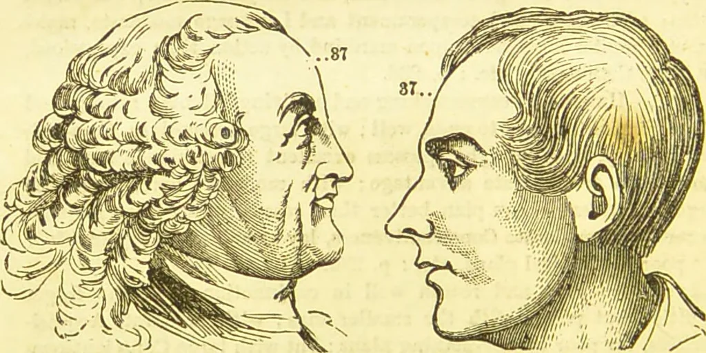 An illustration from New illustrated self-instructor in phrenology and physiology : together with the chart and character of ... as marked by ... / by O.S. and L.N. Fowler., 1877, leaf 166