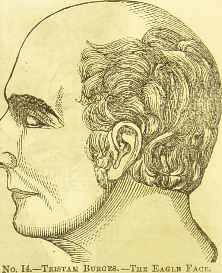 An illustration from New illustrated self-instructor in phrenology and physiology : together with the chart and character of ... as marked by ... / by O.S. and L.N. Fowler., 1877, leaf 54