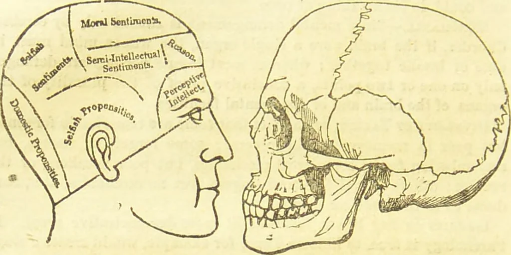 An illustration from New illustrated self-instructor in phrenology and physiology : together with the chart and character of ... as marked by ... / by O.S. and L.N. Fowler., 1877, leaf 66