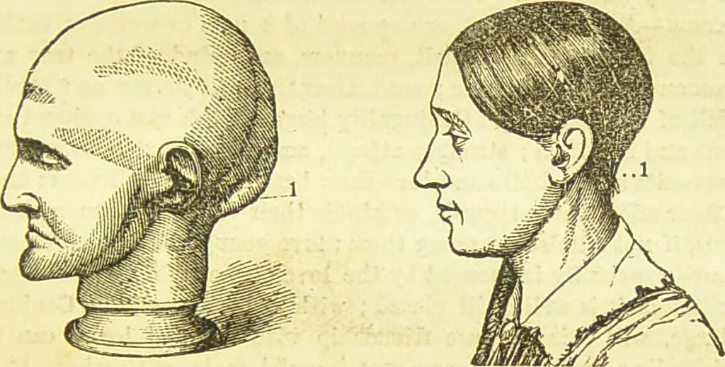 An illustration from New illustrated self-instructor in phrenology and physiology : together with the chart and character of ... as marked by ... / by O.S. and L.N. Fowler., 1877, leaf 79